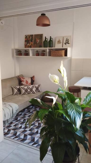 Apartment Aconchegante Apt C/ Garagem